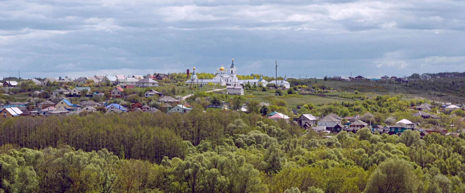 Угадай город Воронежской области по эмодзи
